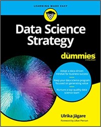 Image of Data Science Strategy for Dummies